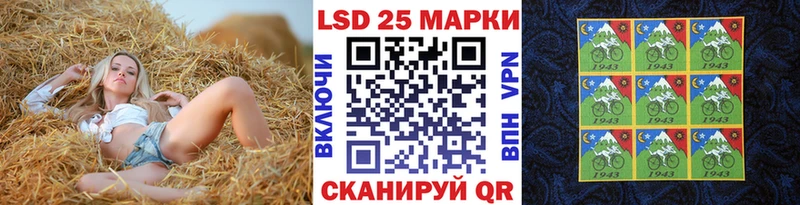 купить закладку Далматово Марки NBOMe 1,8мг