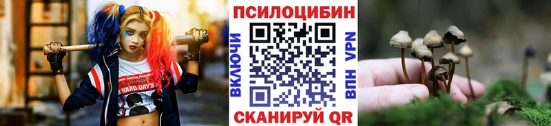 купить закладку  дарк нет какой сайт  Галлюциногенные грибы Psilocybine cubensis  Далматово 