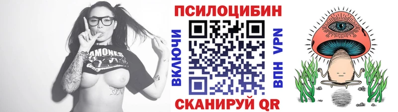 Псилоцибиновые грибы Psilocybe Далматово